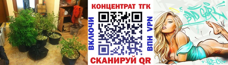 Дистиллят ТГК Wax  как найти наркотики  Багратионовск 